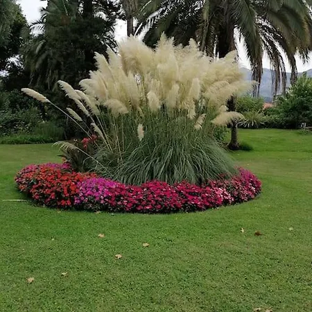 Imperial Palace Bord De